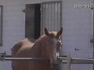 german sex on the farm prt1...BMW