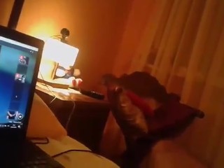 wife slut  moglie troia