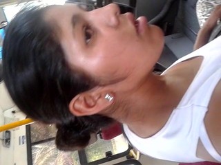 ENCOXCANDO LEGIS LEOPARDO BUS 1