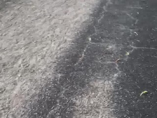 big booty milf again grey sweats on the