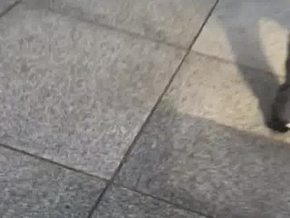 Loose mature booty in grey dress pants